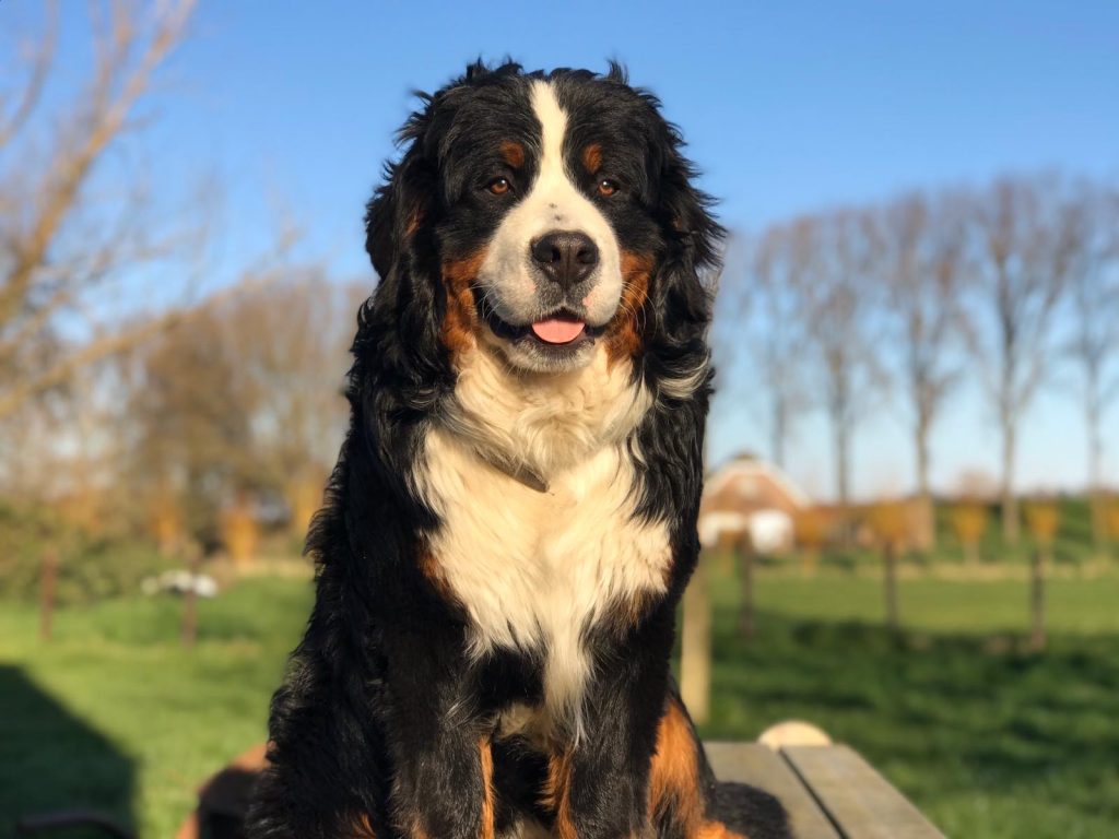 f98ce789-3570-438f-9b45-91be3547a6ae